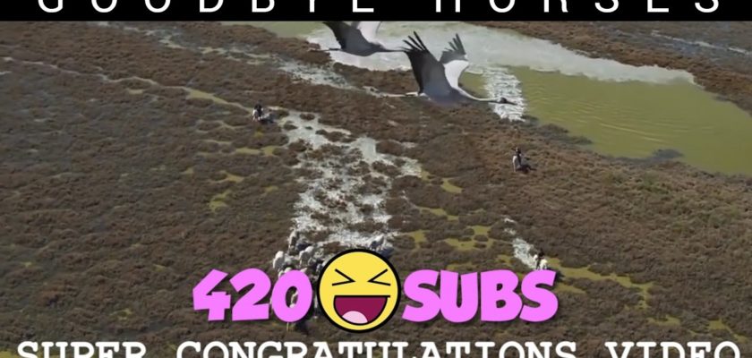 420 SUBS: SUPER CONGRATULATIONS!